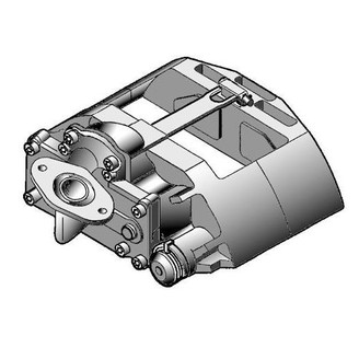 Caliper - Rationalized image