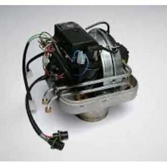 Poltinpää täydellinen kuva