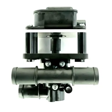 31029947.jpg image