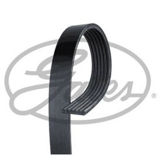 Serpentine belt 6PK2260 image