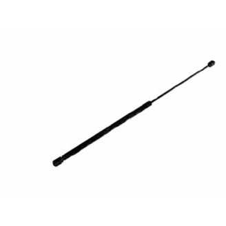 Gas spring bow hatch image