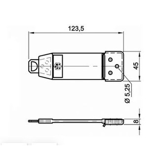Kieli ovisalpaan kuva