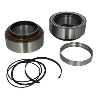 DAF wheel bearing set image