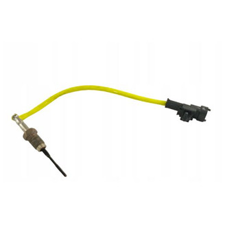 Sensor exhaust gas temperature image