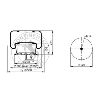 Air spring rear axle rear image