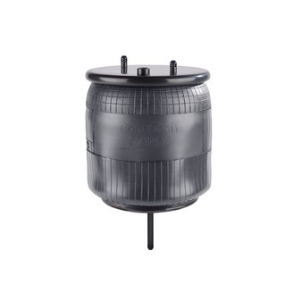 Air Spring rear with steel piston image