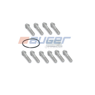 Bolt set S/Z brake disc m14x1.5/65mm 10.9 image