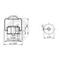 21251607OEM_1.JPG