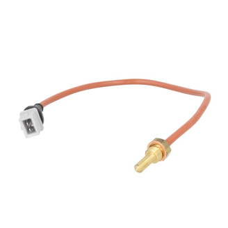 Anturi / lämpötilavahti (harmaa) kuva