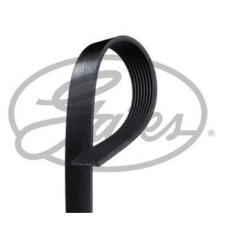 Serpentine belt alternator image