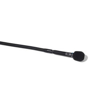 Microphone with switch, flexible image