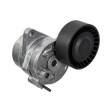 FE11275.jpg image