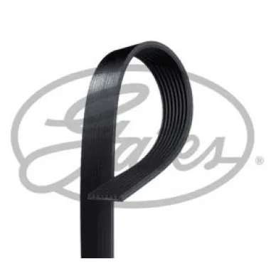 8PK1240.jpg image