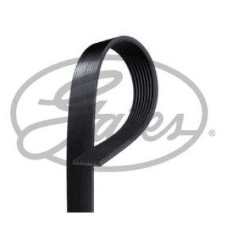Serpentine belt image