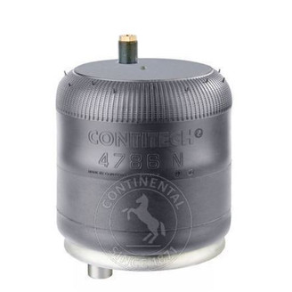 Air spring rear image