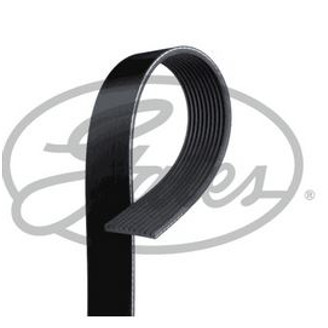 Alternator belt image