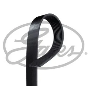8PK2465.jpg image